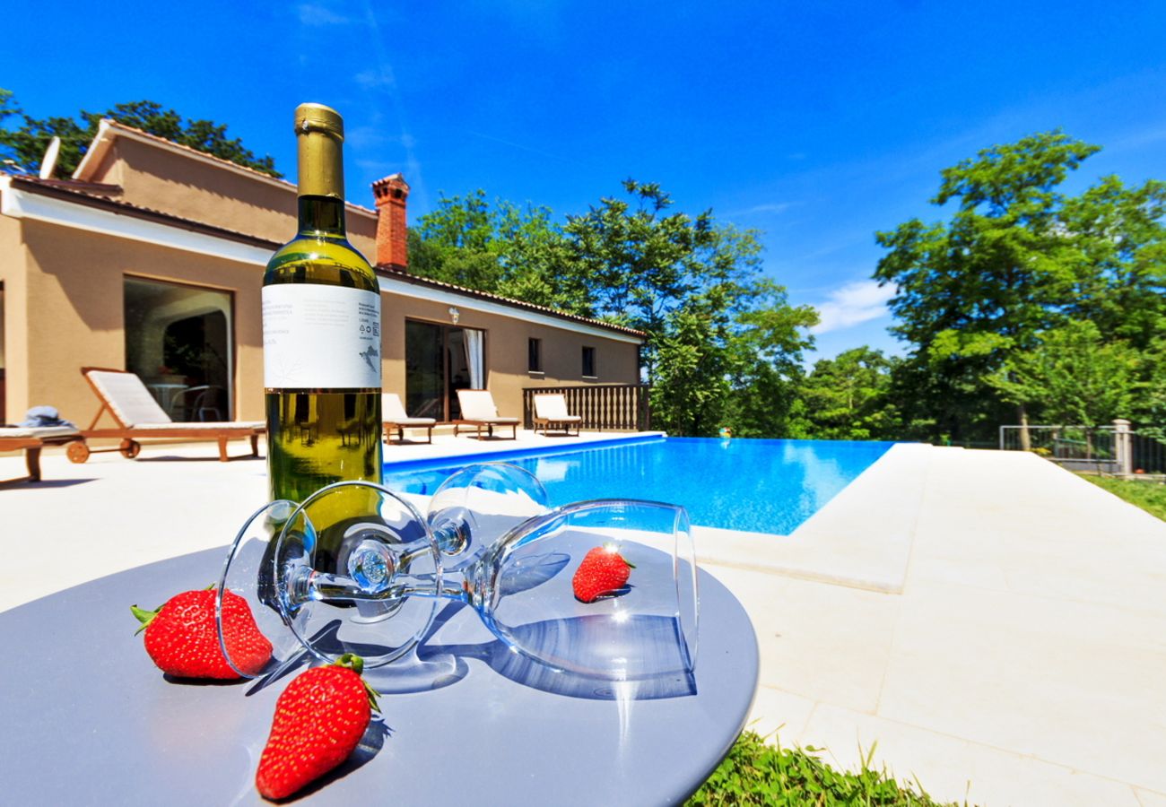 Villa in Svetvincenat - Villa Ferlini in Central Istria with private 10000 m2 Garden