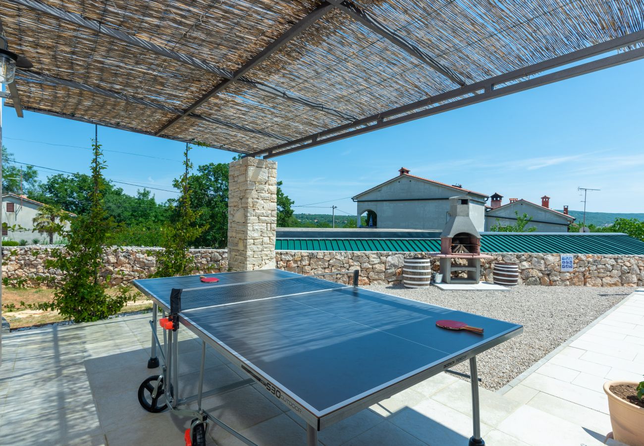 Villa in Sveti Bartul - Villa Batelica near Labin with large garden, kids playground and private pool