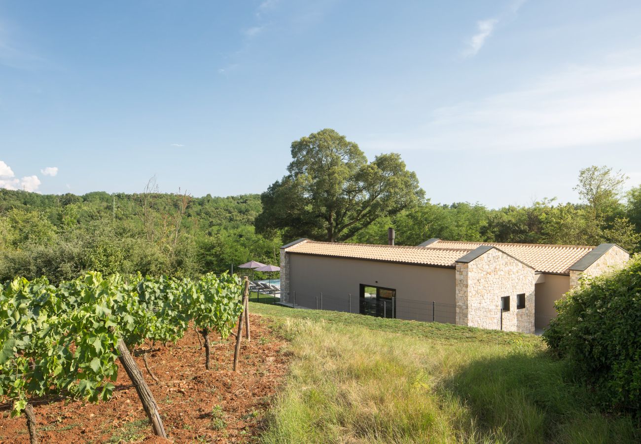 Villa in Karojba - Villa Ulmus near Motovun for 6 people with heated pool &  jacuzzi