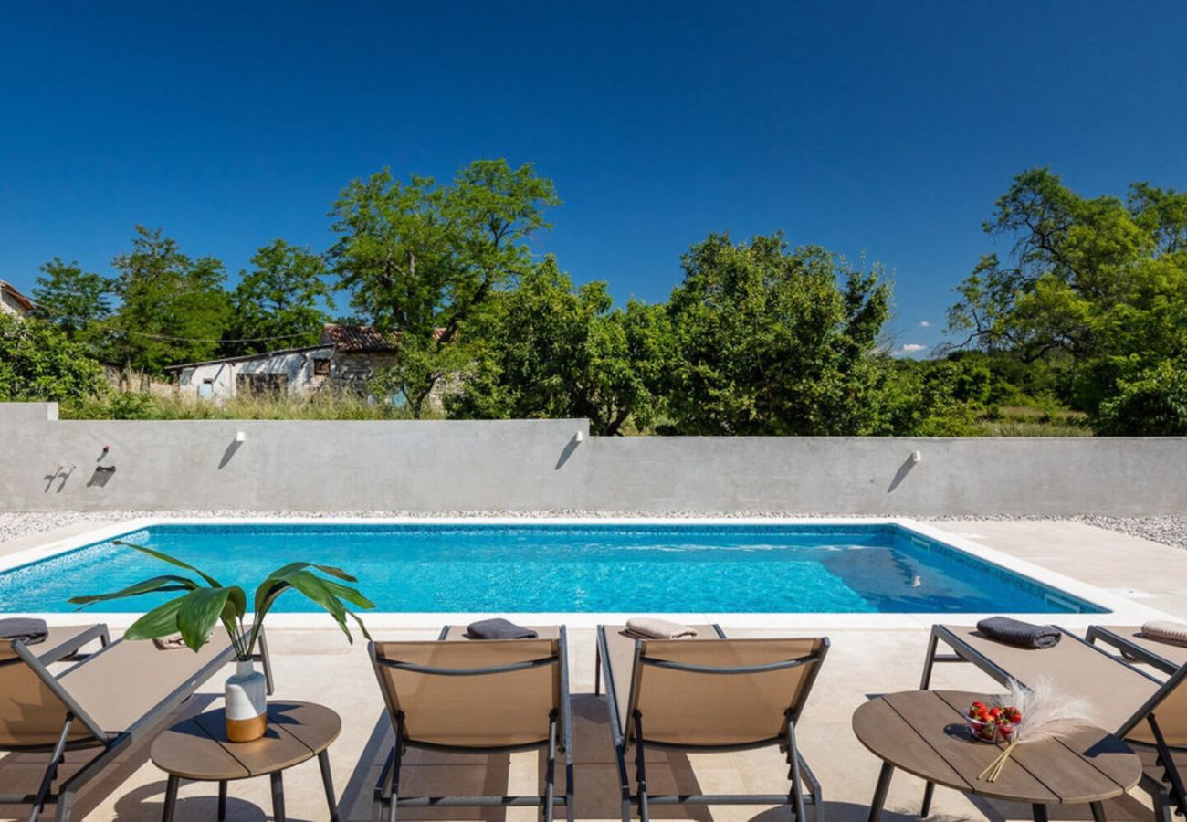 Villa in Brtonigla - Villa Leon for 8 people with private pool & pet friendly near Novigrad