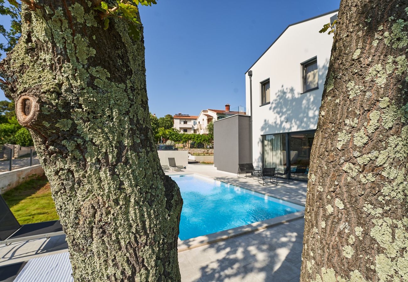 Villa in Porec - Villa Barbara in Poreč for 6 people with private pool & only 1 km from beach