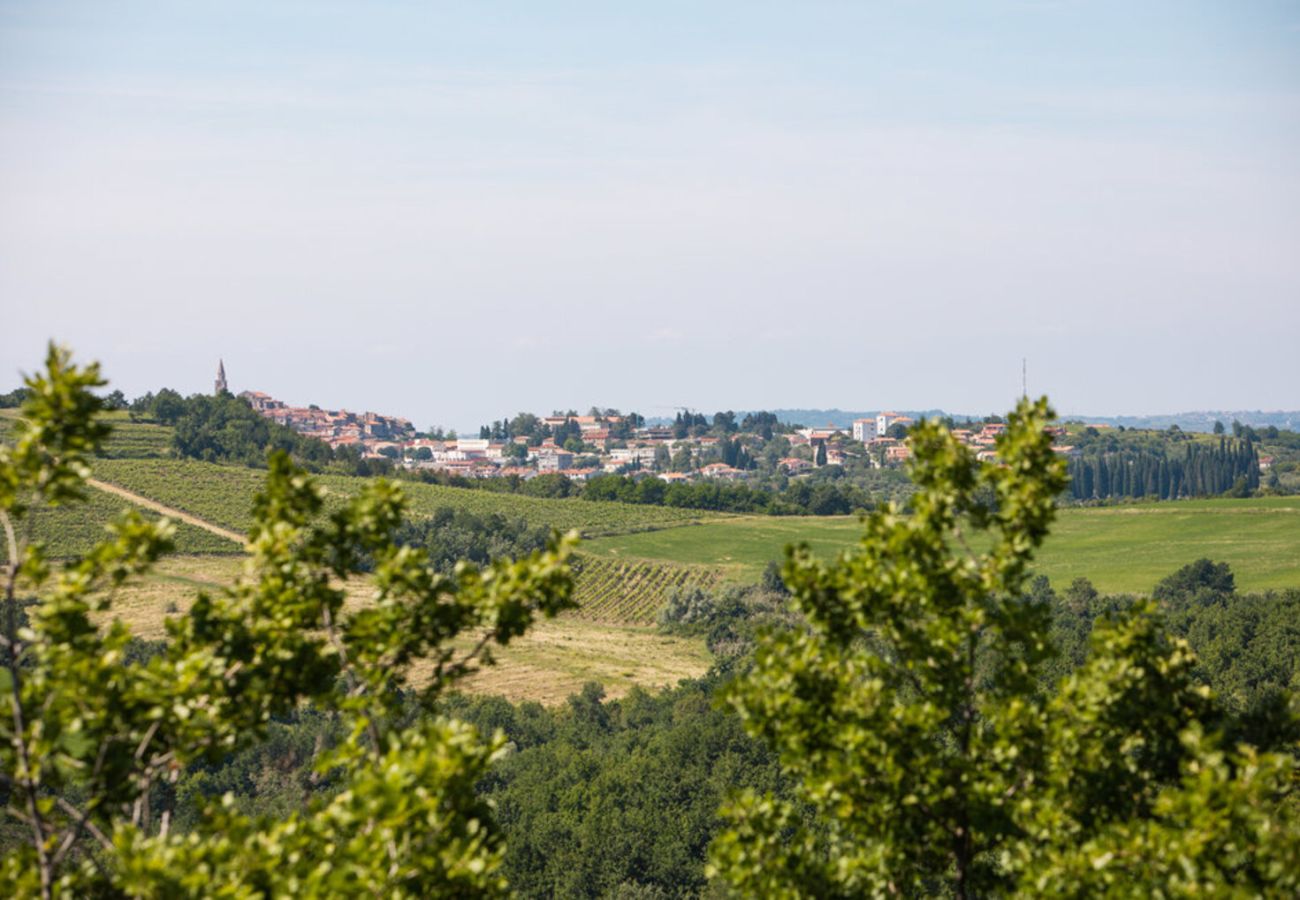 Villa in Baredine - Villa Morgan for 8 people in Central Istria with 45 m2 heated pool & pet friendly