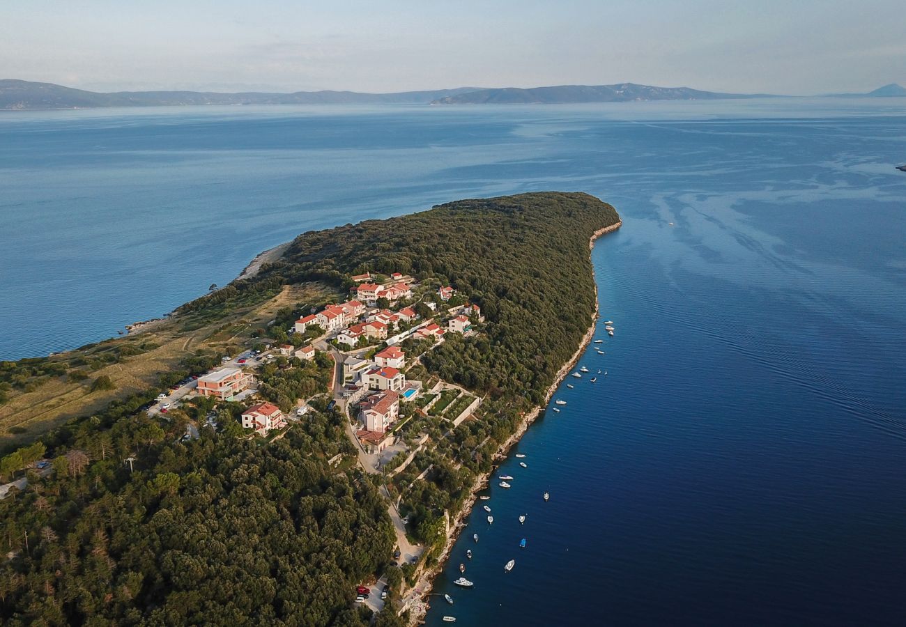 Villa a Duga Luka - Villa Vlastelini II near Labin - Rabac with sea view, beachfront and wellness