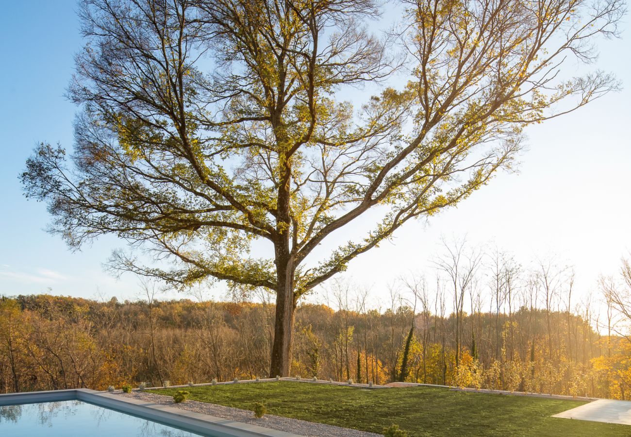 Villa a Karojba - Villa Ulmus near Motovun for 6 people with heated pool &  jacuzzi