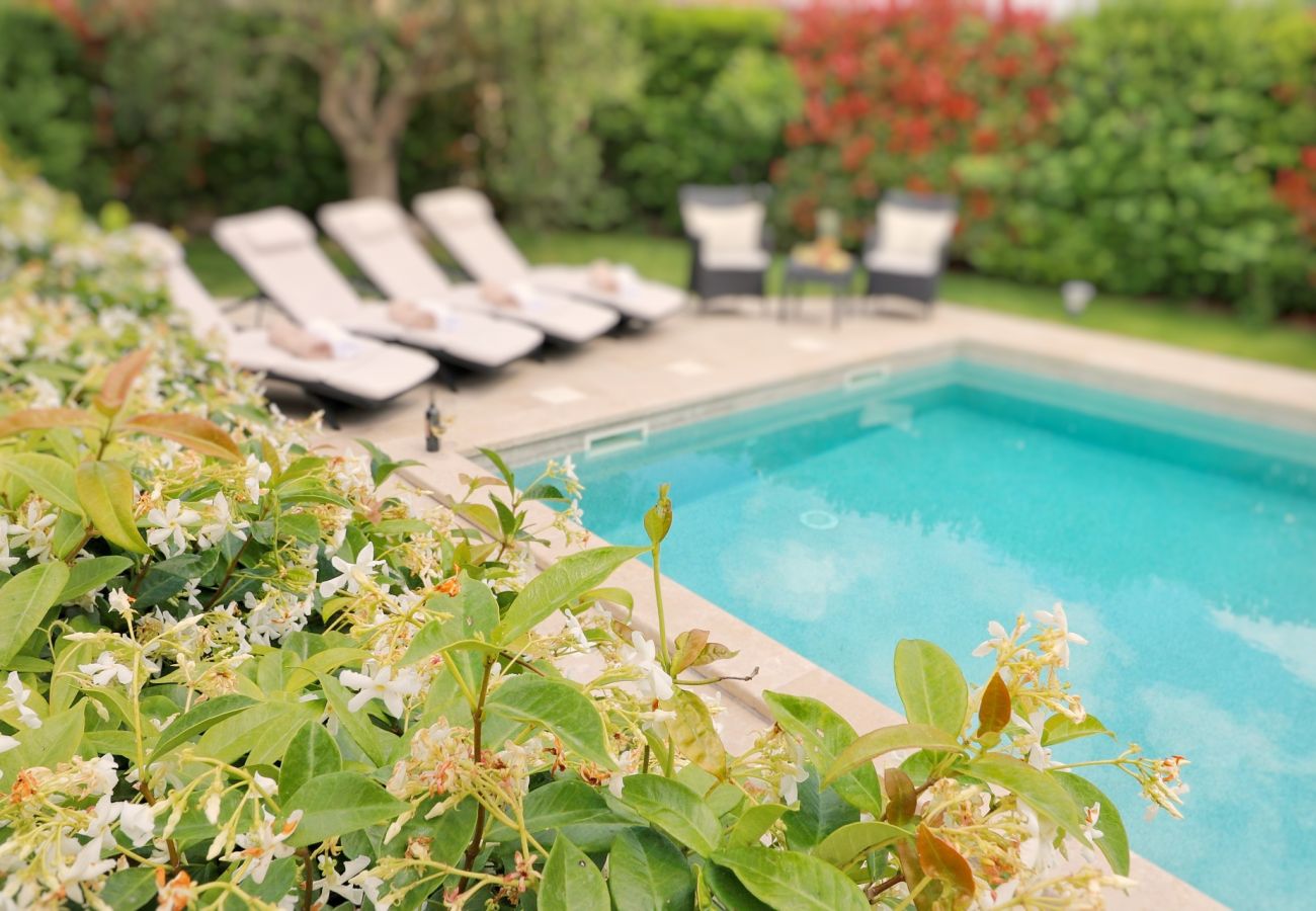 Villa a Kaldir - Villa Benvenuti near Motovun for 8 people - pet friendly with salt - water pool