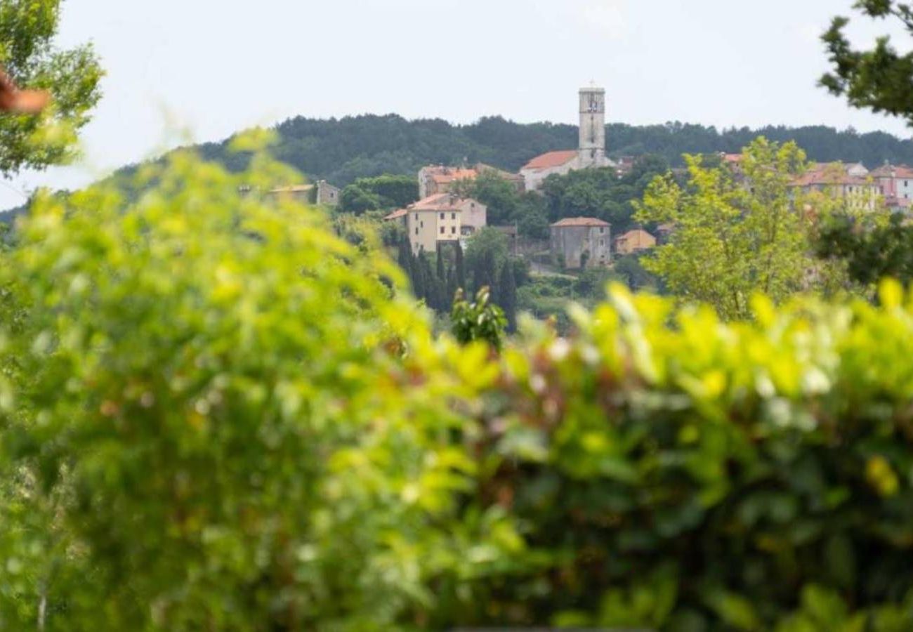 Villa in Oprtalj - Casa Sara and Sasha near Motovun with private pool - pet friendly truffle paradise