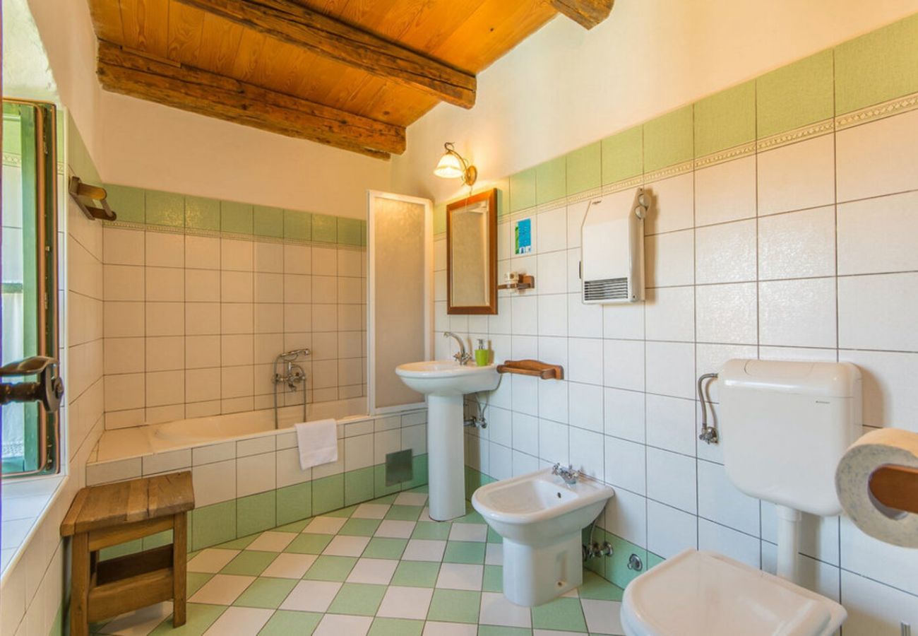 Вилла на Mrgani - Villa Captain Morgan for 8 people in Central Istria - pet friendly with private pool