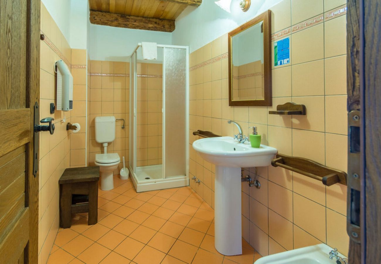 Вилла на Mrgani - Villa Captain Morgan for 8 people in Central Istria - pet friendly with private pool